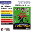Lucky Star Color Paper A4 Dark Colour 3 sheet card 160gms - Dark Green (Parrot)