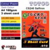 Lucky Star Color Paper A4 Dark Colour 3 sheet card 160gms - Saffron
