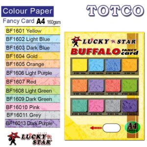 Lucky Star Color Paper A4 Fancy Card buffalo
