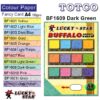 Lucky Star Color Paper A4 Fancy Card buffalo - Dark Green (Parrot)