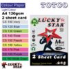 Lucky Star Color Paper A4 Light Colour 2 sheet card 120gms