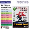 Lucky Star Color Paper A4 Light Colour 3 sheet card 160gms
