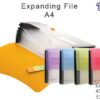 CBE 4307 Expanding File A4