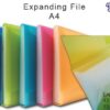 CBE 4313 Expanding File A4