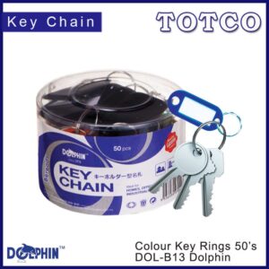 Dolphin Key Ring B13