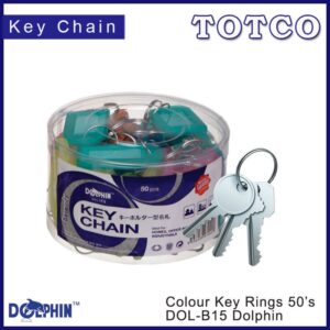 Dolphin Key Ring B15