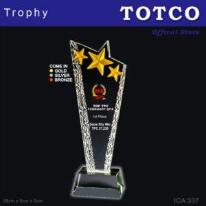 3D Emboss Star Crystal Trophy ICA 337