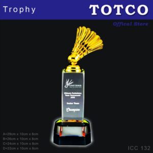 3D Emboss Star Crystal Trophy ICC 132