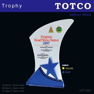 3D Emboss Star Crystal Trophy ICP 665