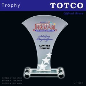 3D Emboss Star Crystal Trophy ICP 667