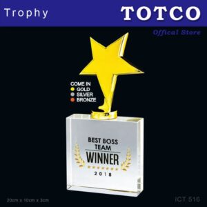 3D Emboss Star Crystal Trophy ICT 516