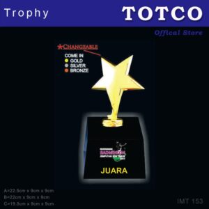 3D Star Figure Gold Shooting Star with Crystal Base IMT 153
