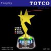3D Star Figure Gold Success Star with 4cm Crystal Base IMT 158