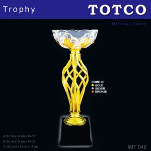 Acrylic Crystal Fusion Award IMT 048
