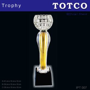 Acrylic Crystal Fusion Award IPT 007