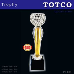 Acrylic Crystal Fusion Award IPT 008