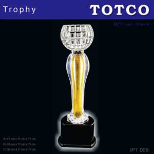 Acrylic Crystal Fusion Award IPT 009