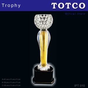 Acrylic Crystal Fusion Award IPT 010