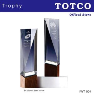 Crystal Wooden Award IWT004