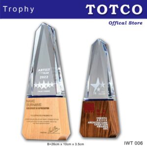 Crystal Wooden Award IWT006