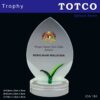 Eco Friendly Crystal Award ICA 194