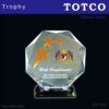 Excellent Triple Star Achievement Award - Big with Triple Star ICP 016