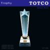 Exclusive Crystal Star Trophy ICT 009