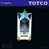 Exclusive Crystal Star Trophy ICT 010