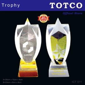 Exclusive Crystal Star Trophy ICT 011