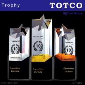 Exclusive Crystal Trophy ICP 809
