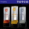 Exclusive Crystal Trophy ICP 810