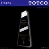 Exclusive Crystal Trophy ICP 814