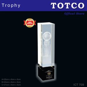Exclusive Crystal Trophy ICT 709