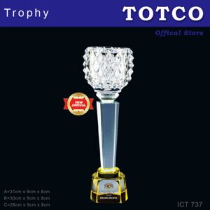 Exclusive Crystal Trophy ICT 737