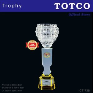 Exclusive Crystal Trophy ICT 738