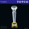 Exclusive Crystal Trophy ICT 757