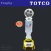 Exclusive Crystal Trophy ICT 763