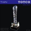 Exclusive LED Crystal Trophy ICT 153