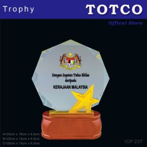 Exclusive Metal Inspire Crystal Award ICP 237