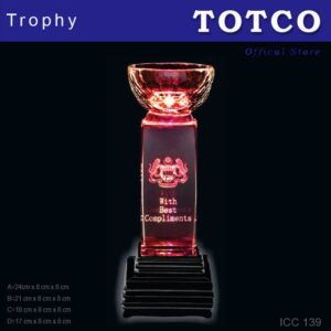 LED Light Crystal Trophy ICC 139
