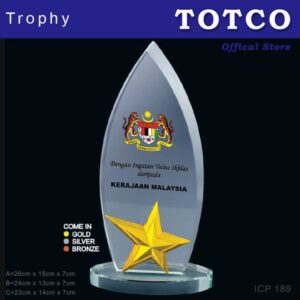 Metal Star Crystal Award ICP 189