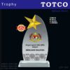 Metal Star Crystal Award ICP 194
