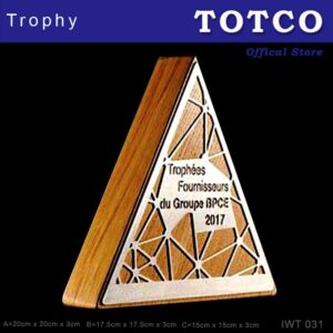 Modern Solid Wooden Award IWT 031