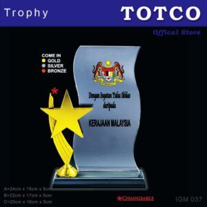 Shining Metal Star Crystal Award IGM 037