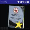 Shining Metal Star Crystal Award IGM 119