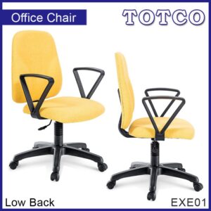 Celaeno Low Back Chair EXE01