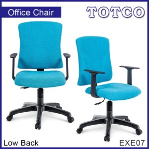 Celaeno Low Back Chair EXE07