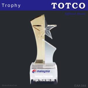 Custom Made Embedded Special Design Acrylic Award EAA 044