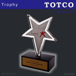 Custom Made Embedded Special Design Acrylic Award EAA 064