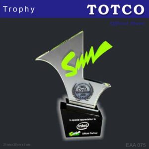 Custom Made Embedded Special Design Acrylic Award EAA 075